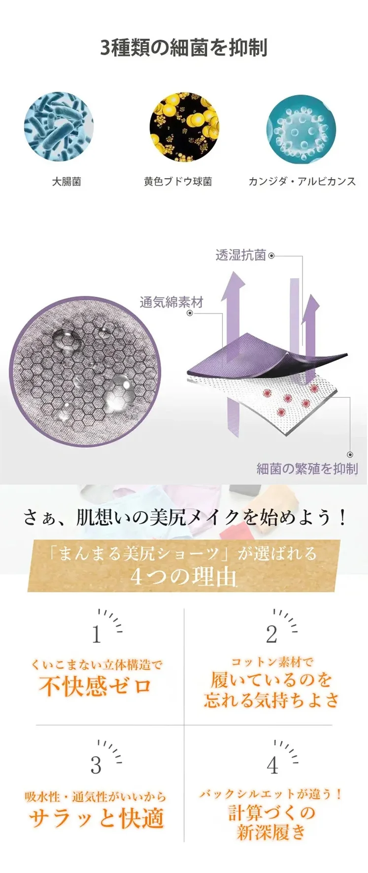 ハイウエストショーツ 細菌を抑制