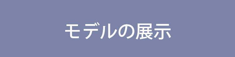 美胸ブラ モデルの展示